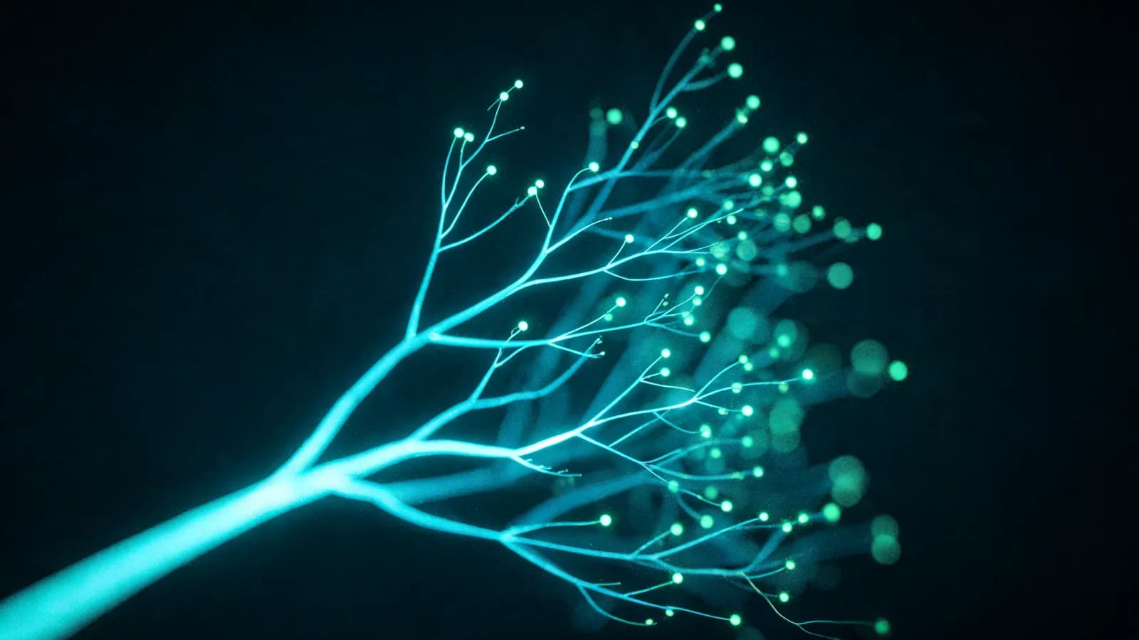 Abstrakte Datenvisualisierung: Ein Lichtfaden verzweigt sich mehrfach zu einem Baum möglicher Verläufe mit leuchtenden Endpunkten